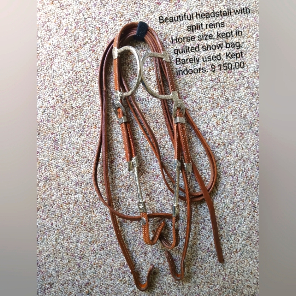 Horse show headstall with split reins. Lots of Chrome